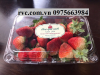 Mua hộp nhựa trái cây ở đâu giá rẻ tại hồ chí minh