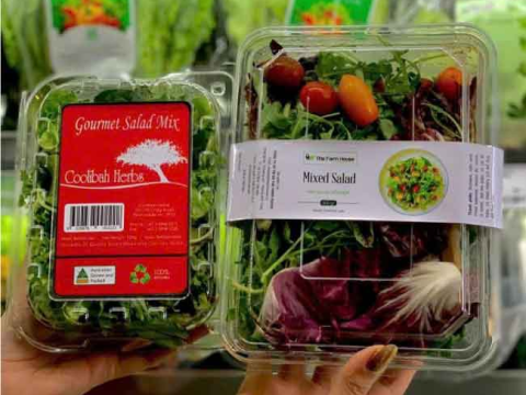 Mua hộp nhựa đựng rau chất lượng, giá tốt ở đâu