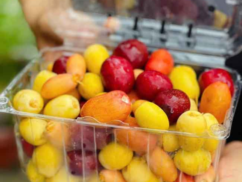 Hộp nhựa P1000B đẹp mắt - Lợi thế cạnh tranh cho ngành trái cây tươi