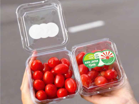 Những vấn đề thường gặp khi bảo quản hoa quả và cách khắc phục bằng hộp nhựa trái cây