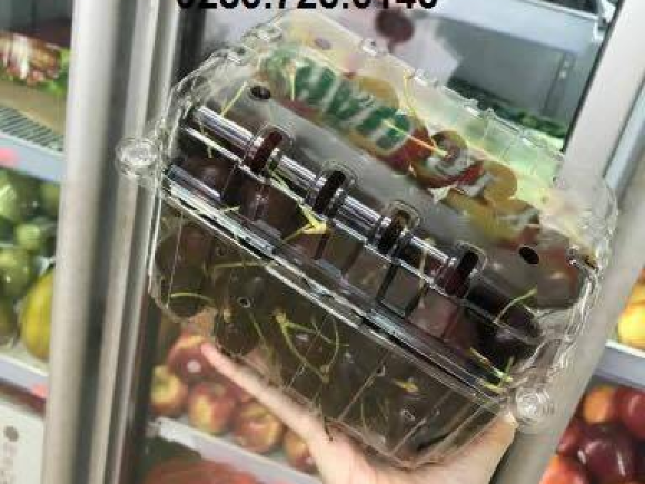 Hộp nhựa đựng trái cây P1000B