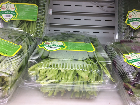 Hộp Nhựa Đựng Rau H100