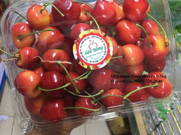 Hộp nhựa đựng trái cây P500C