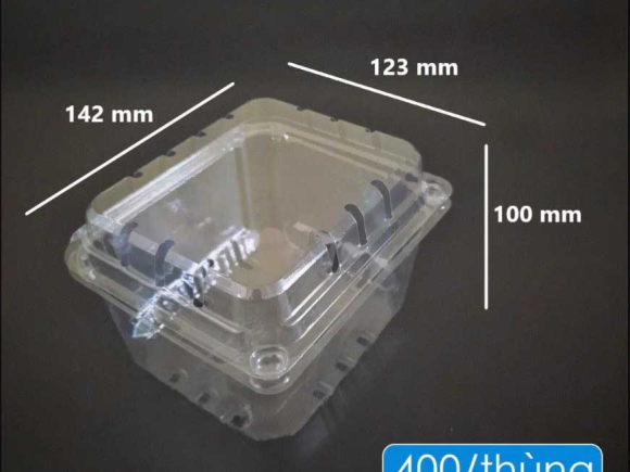 Hộp nhựa đựng trái cây 1088