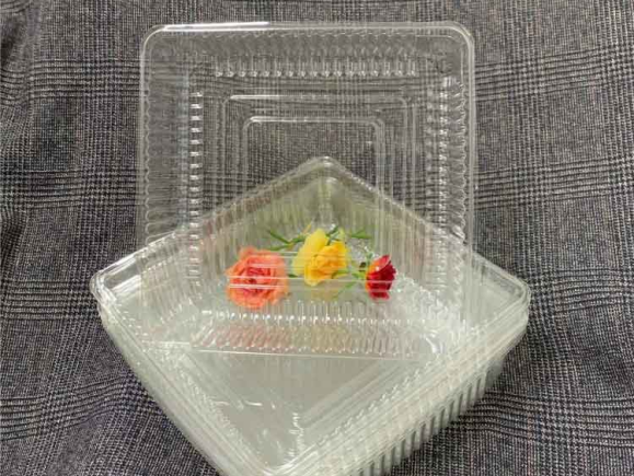 Khay nhựa trong đựng thực phẩm M10-1