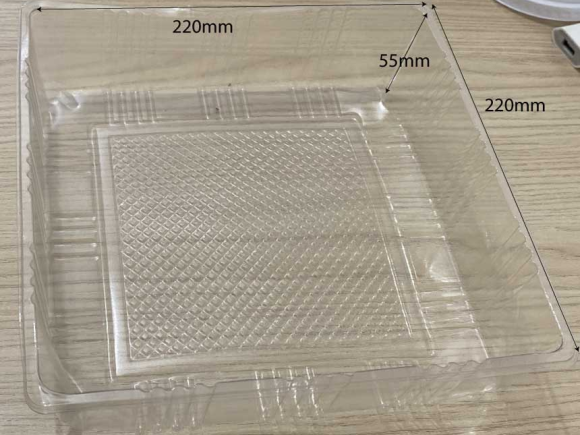 Khay nhựa đựng bánh vuông trong S4 